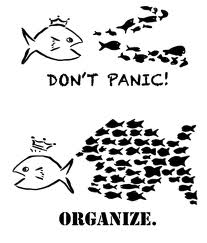 don't panic, organize
