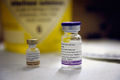 Vaccin mot H1N1 eller svininfluensan.jpg