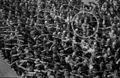 AugustLandmesser1936.jpg